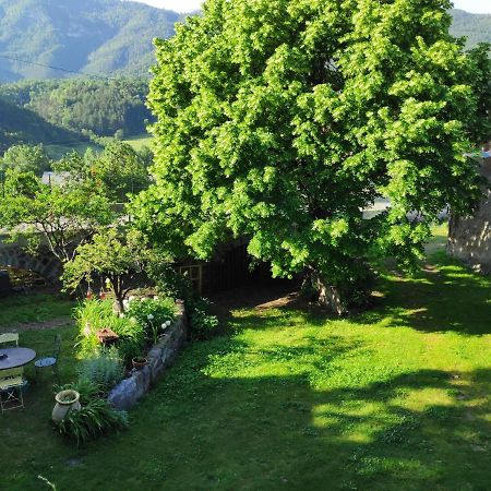 Gite La Taniere Des Alpes Bayons Exterior photo