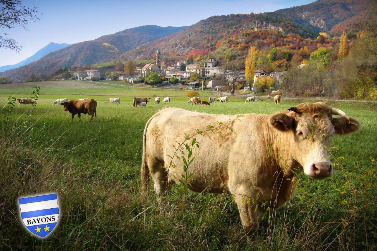 Gite La Taniere Des Alpes Bayons Exterior photo